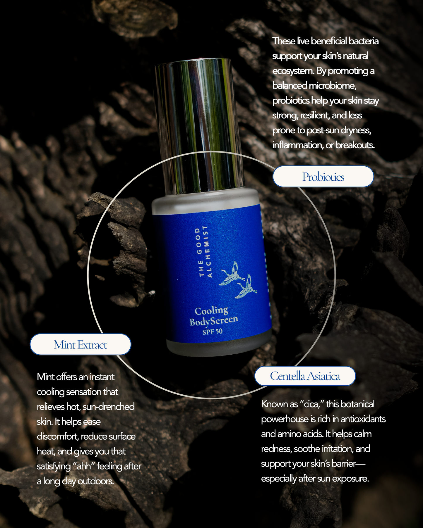 Cooling Body Screen SPF 50 PA+++